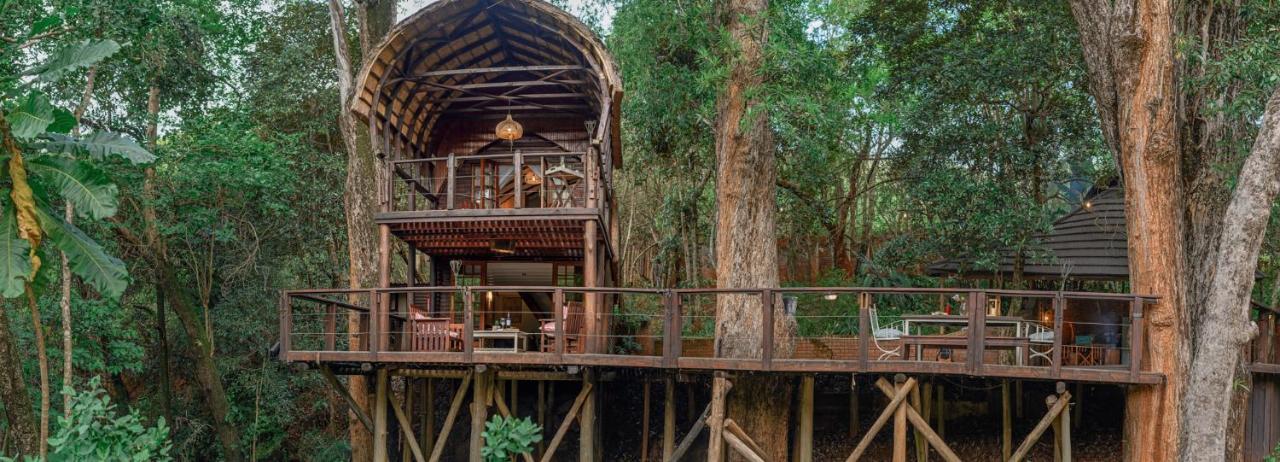 Serenity Mountain And Forest Lodge *
